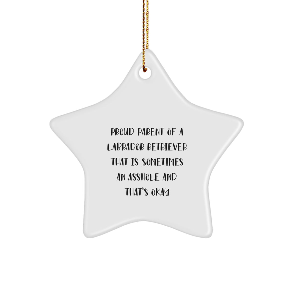 Funny Labrador Retriever Dog Gifts from Mom to Proud Lab Owner - Star Ornament for Christmas - Image 1