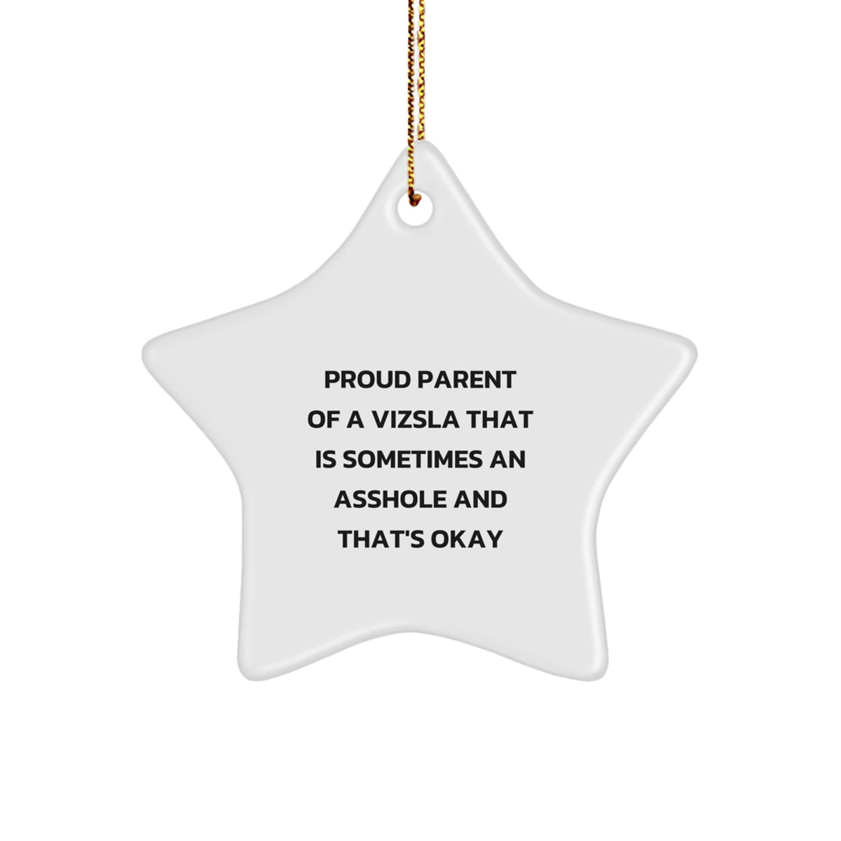 Proud Parent Vizsla Dog Star Ornament Gifts from Family for Unique Christmas - Image 1