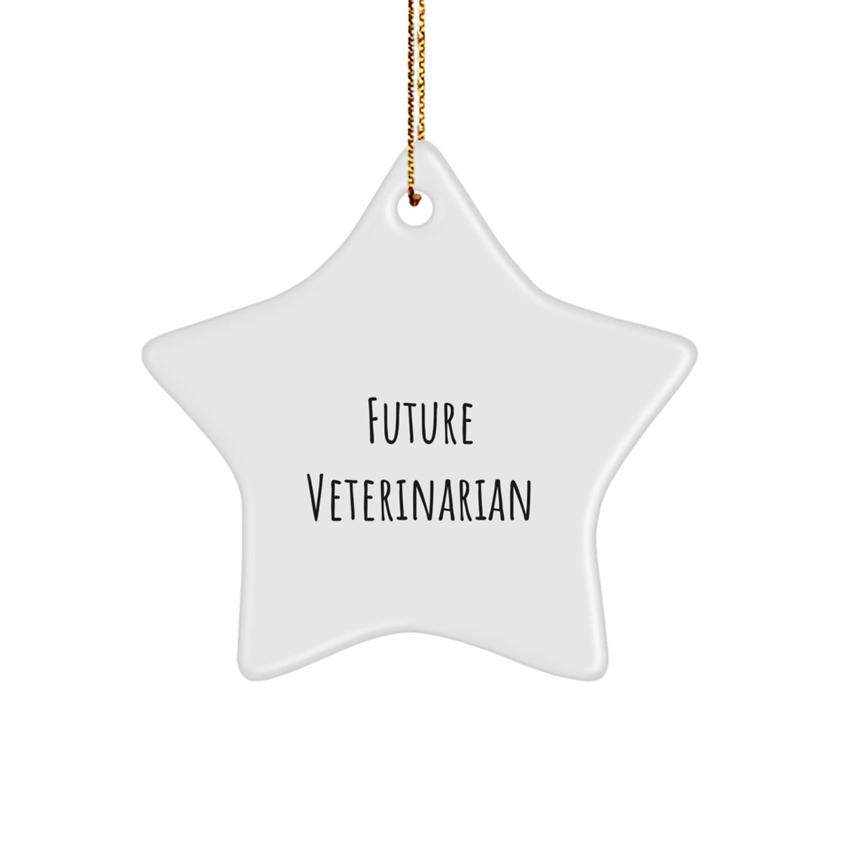 Funny Future Veterinarian Star Ornament, Gifts from Friends and Family for Veterinarian Women, Christmas Unique Gifts for Veterinarian Men, Star Ornament for Home Decor - Image 1