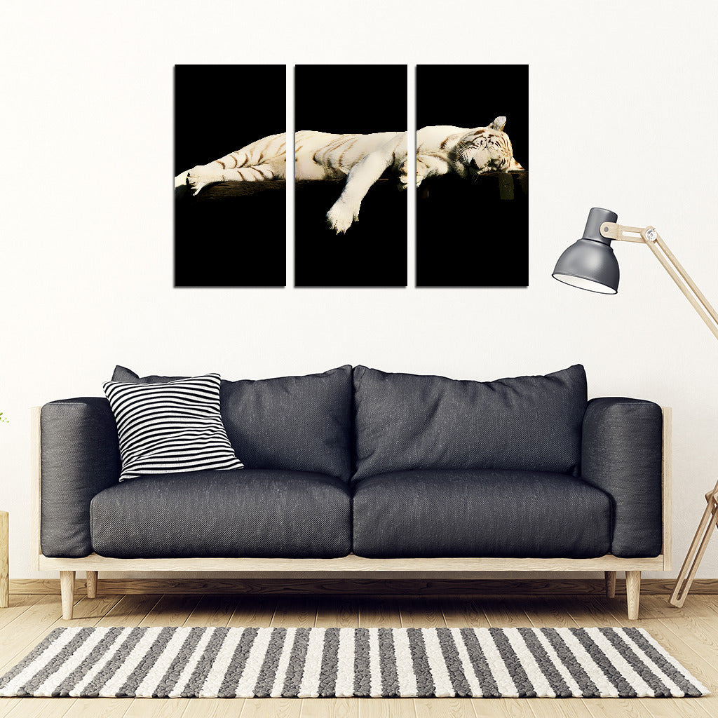 Sleeping Tiger 3 Piece Framed Canvas