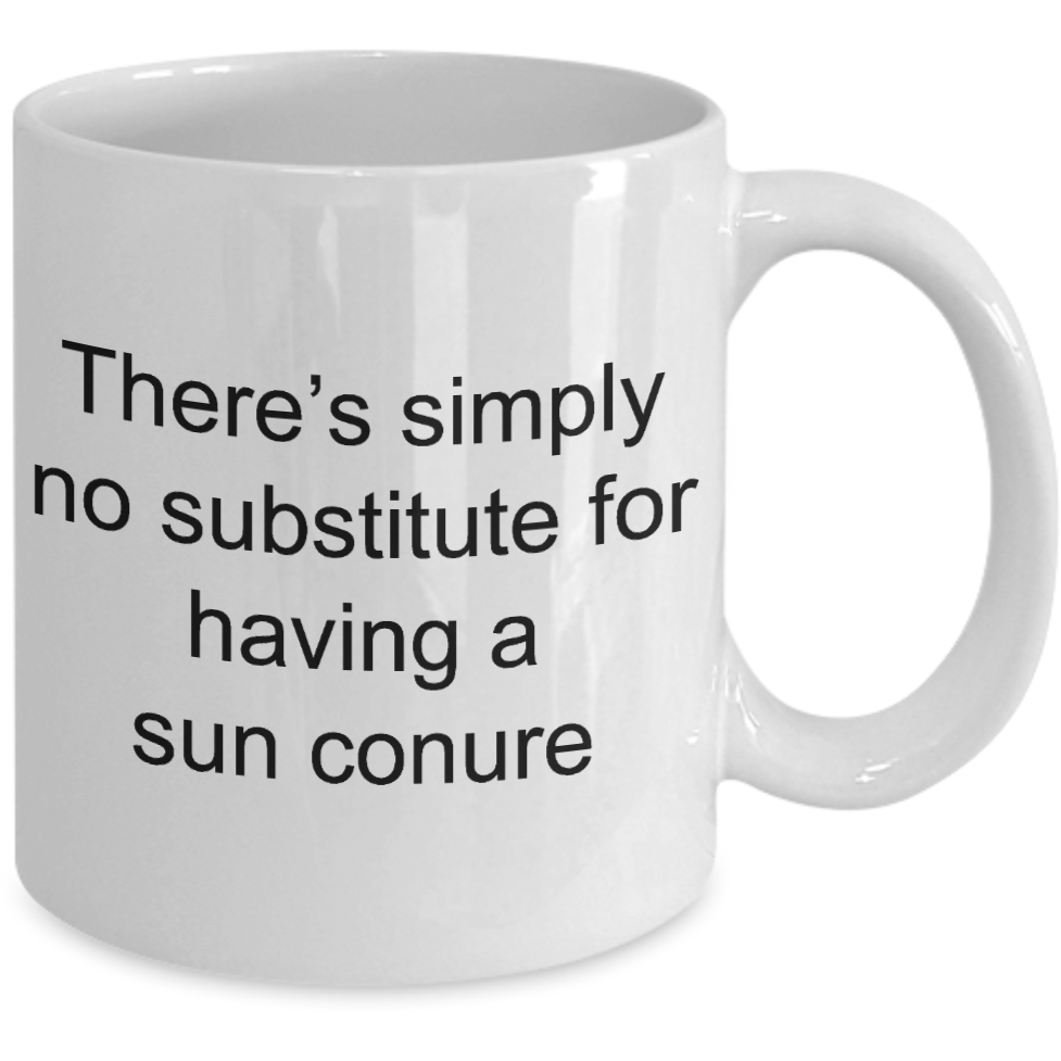Having a Sun Conure